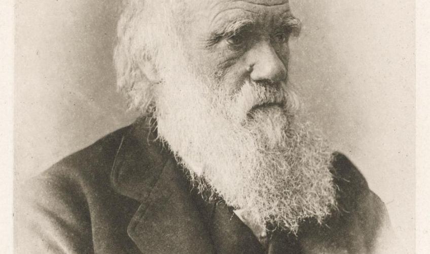 Charles Darwin | Faktalink